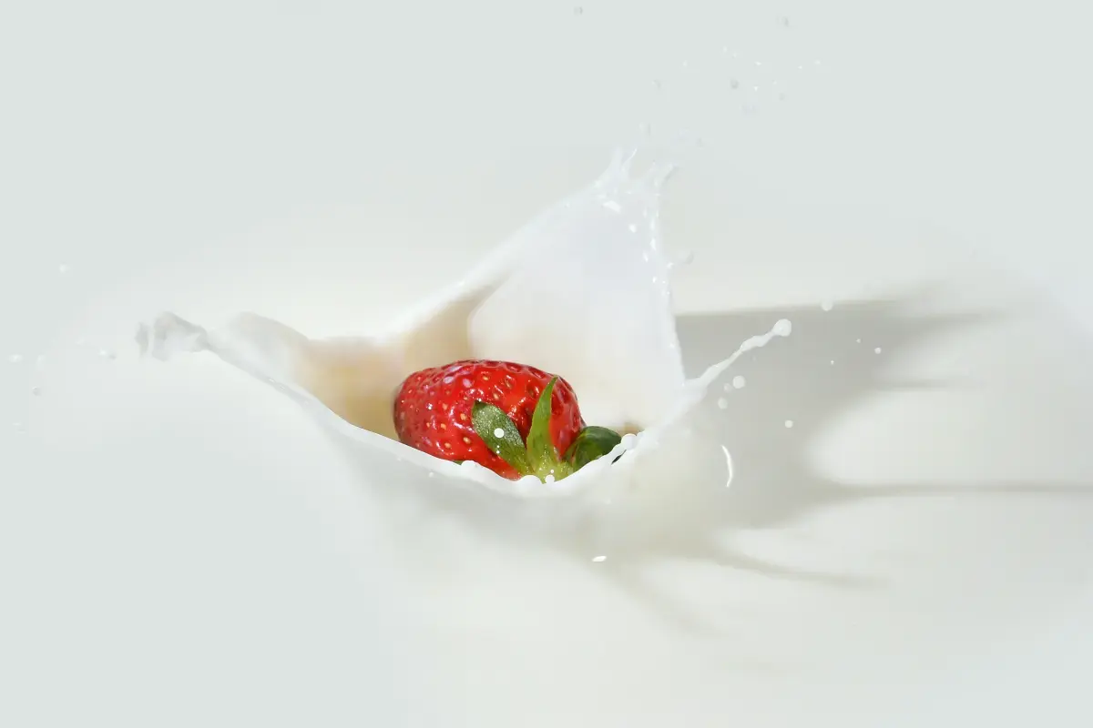 What is an expert Food Drink Expert?