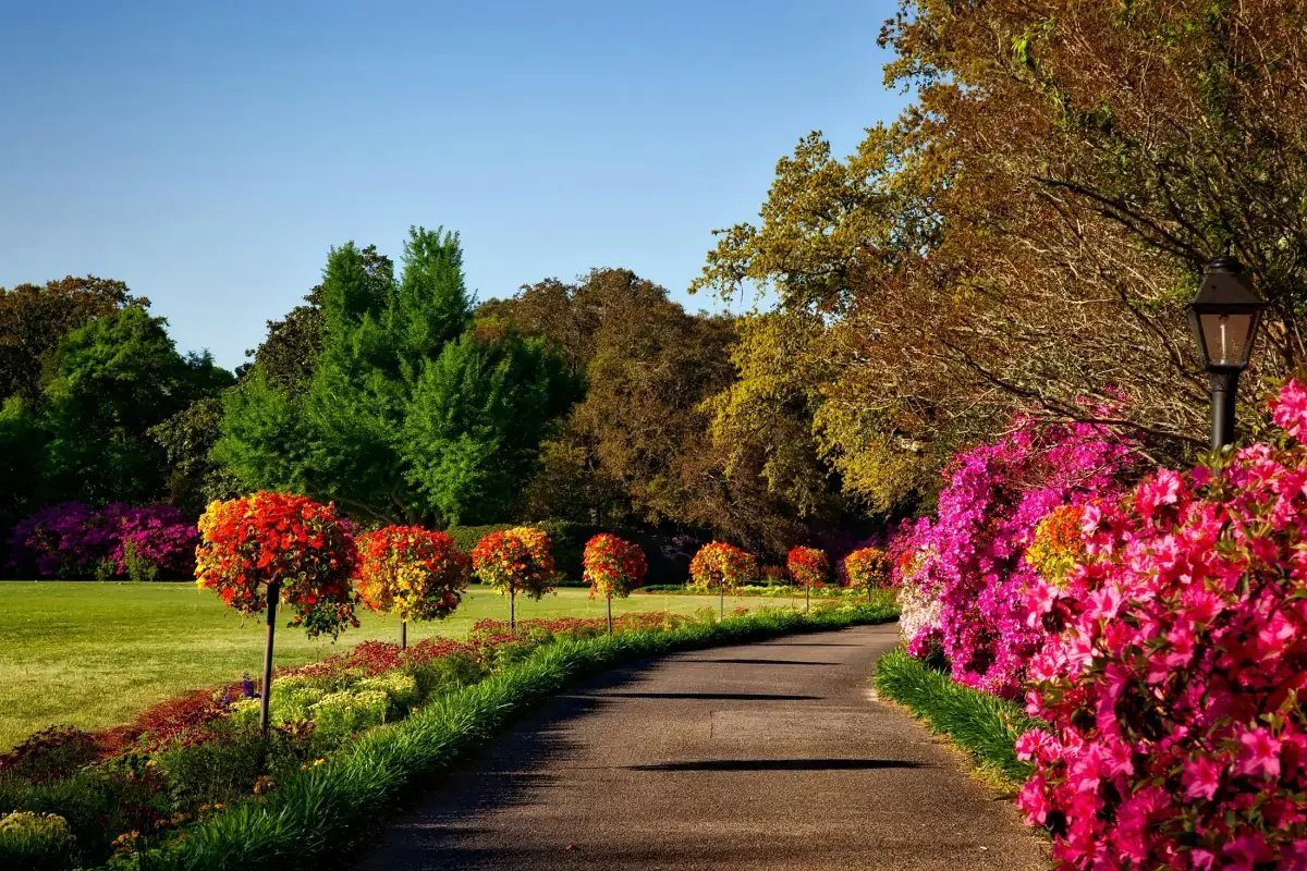 A Day in the Life of a Gardener: Cultivating Green Dreams Image1
