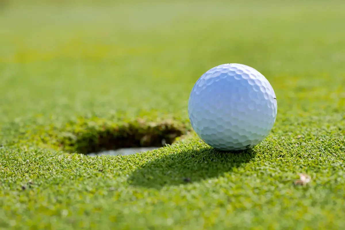 Find Golf Instructor jobs