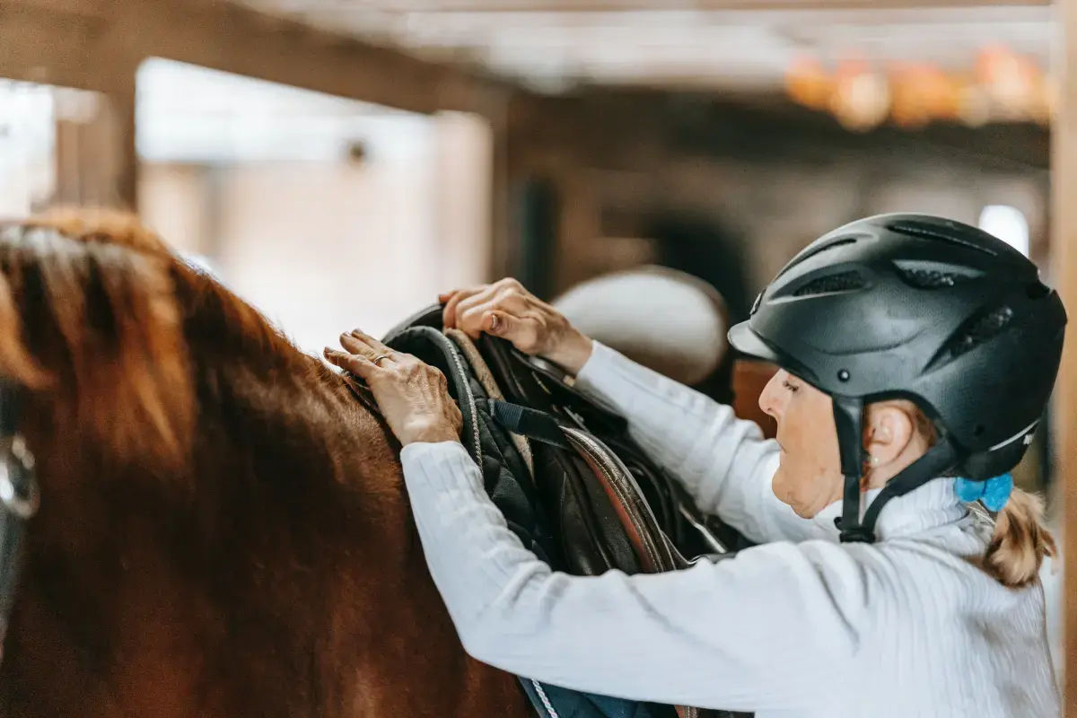 What is an expert Horse Trainer?