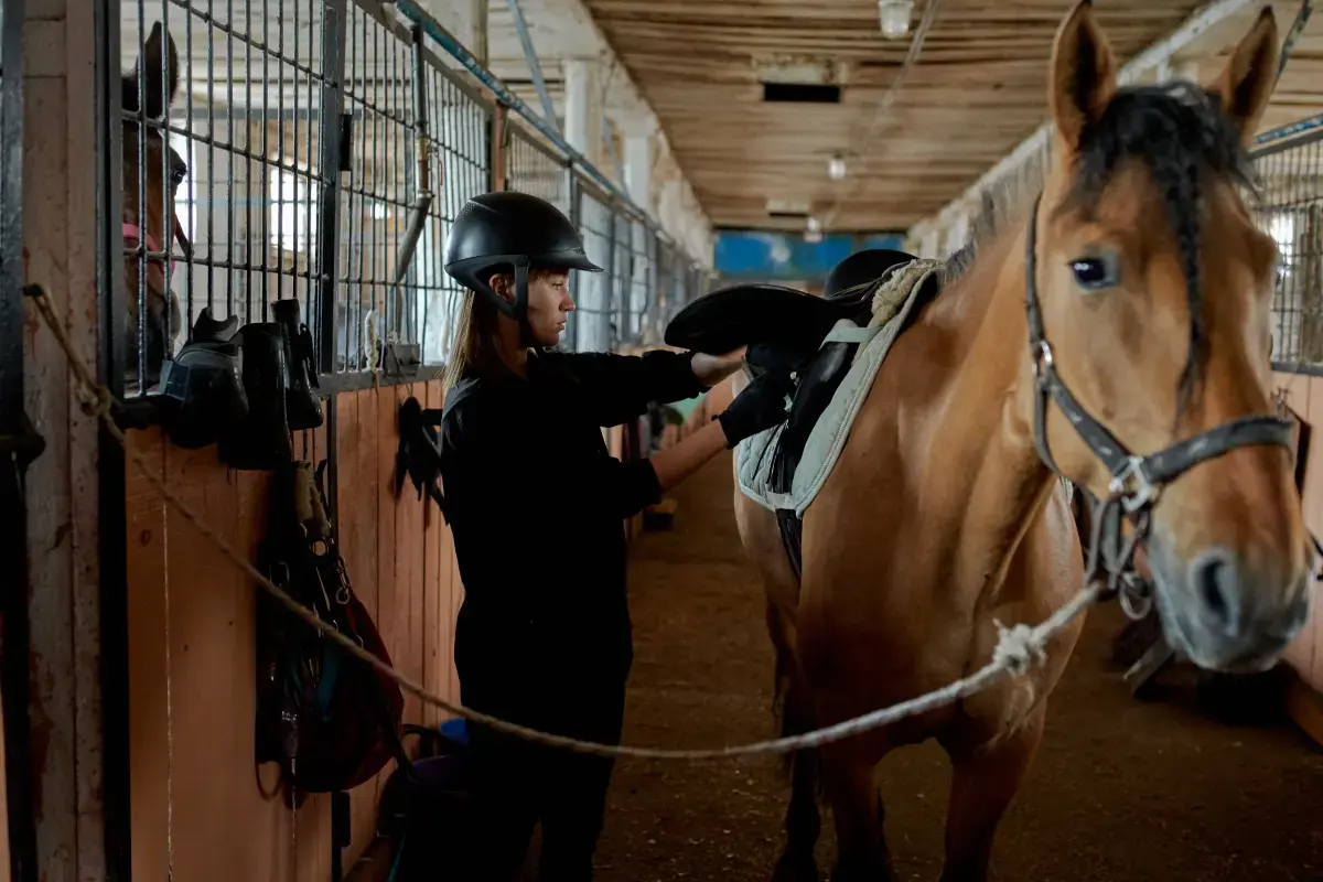 Horse Trainer