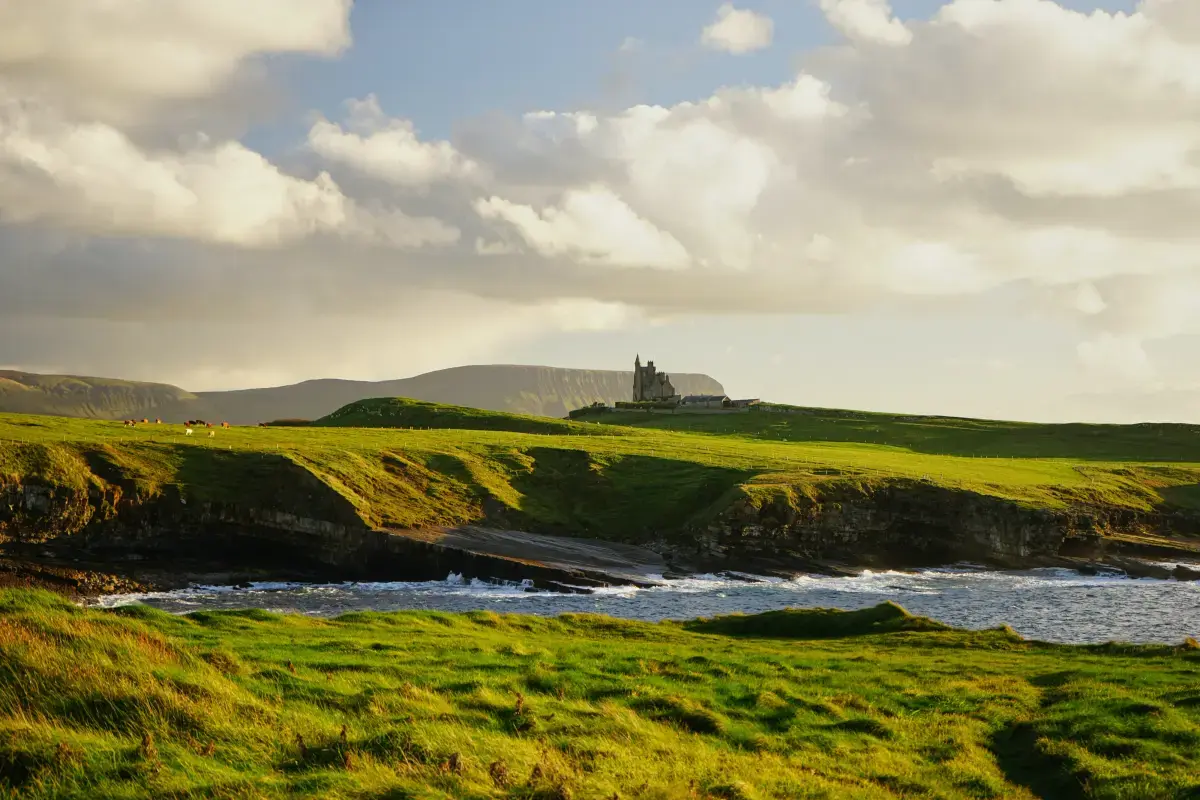 Self Employment Market Report in Ireland (2024) Image10
