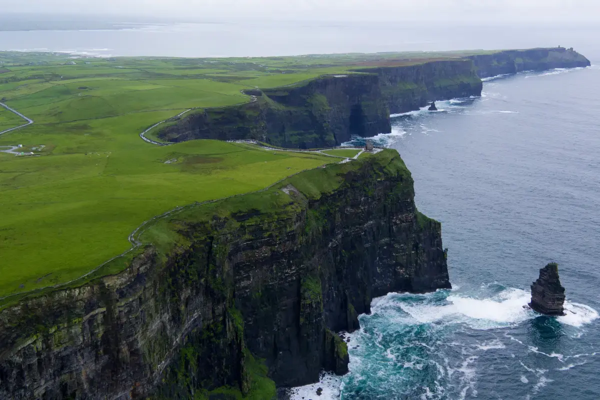 Self Employment Market Report in Ireland (2024) Image2