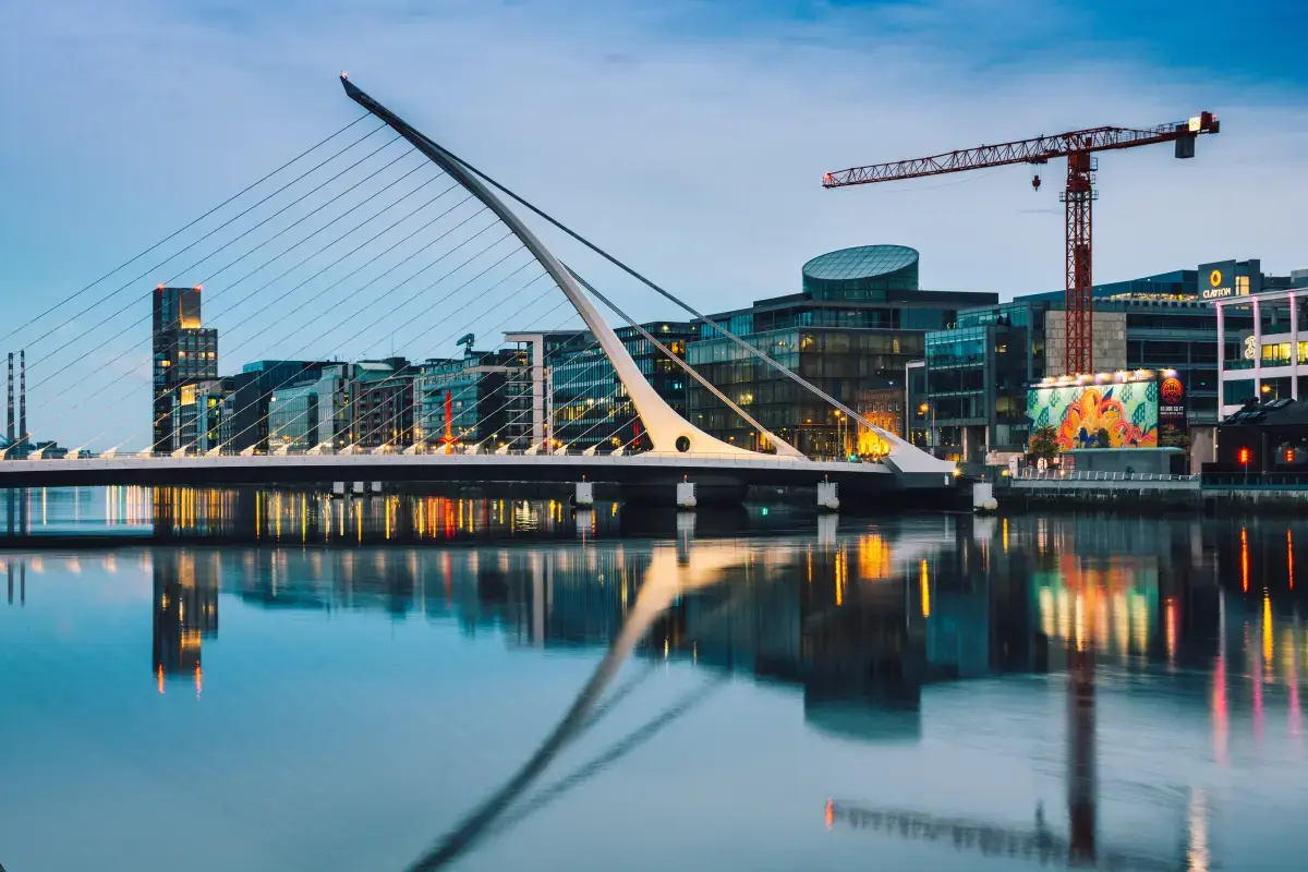 Self Employment Market Report in Ireland (2024) Image6