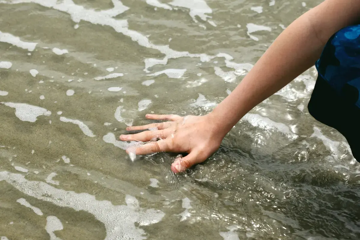 The Crucial Role of Intuition Image2
