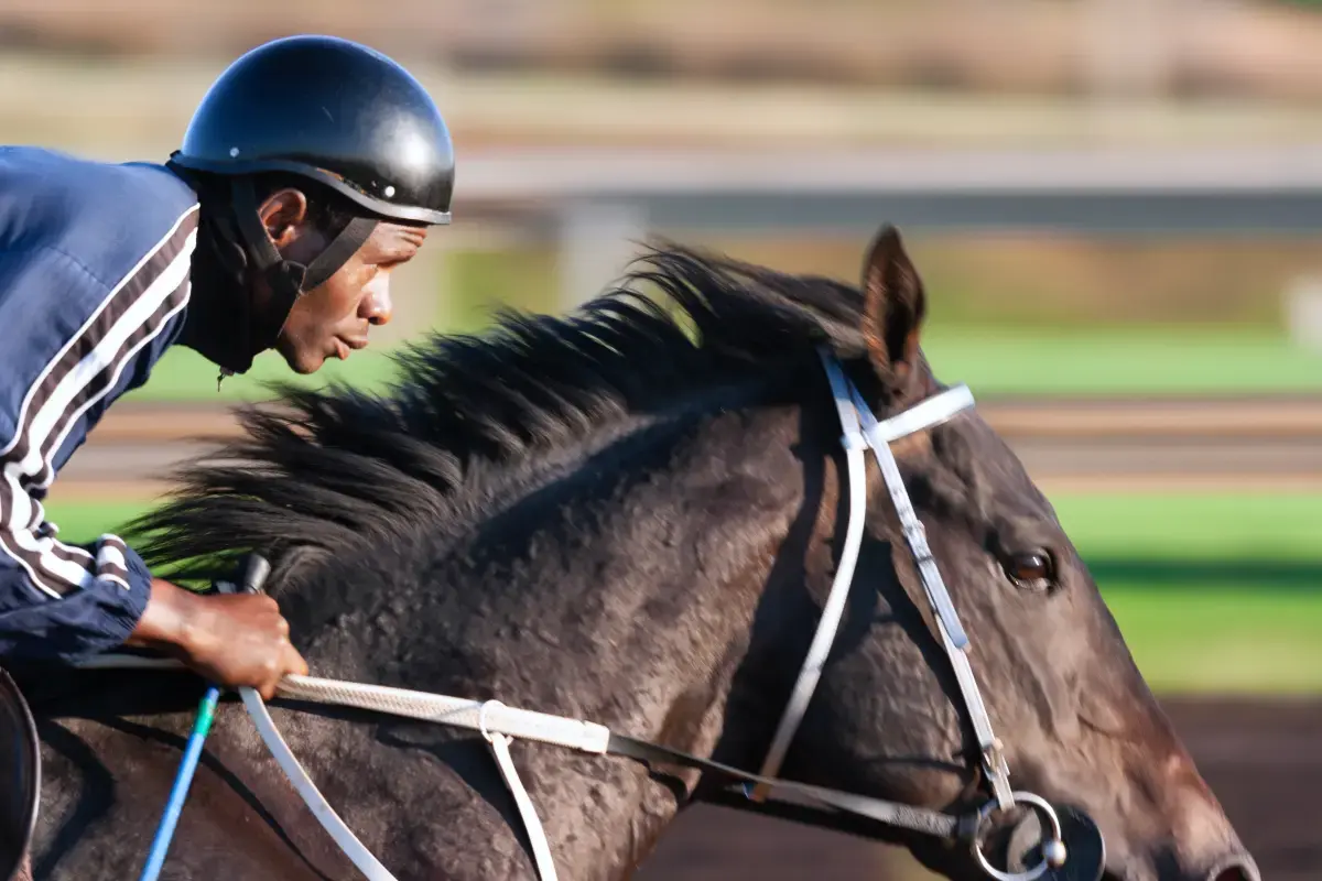 Jockey