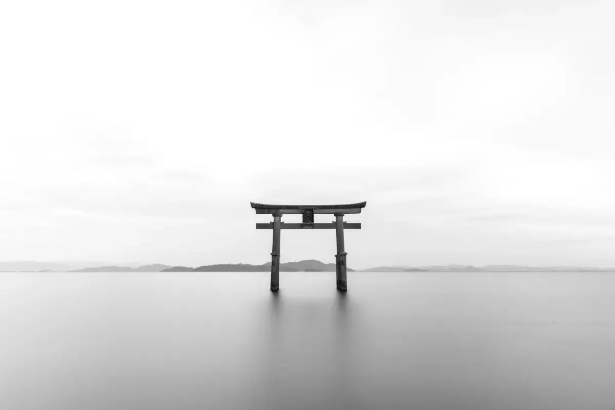 Japan 2025 Job Market Report Image11