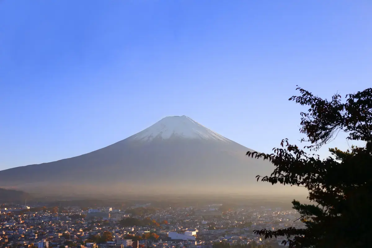 Japan 2025 Job Market Report Image3