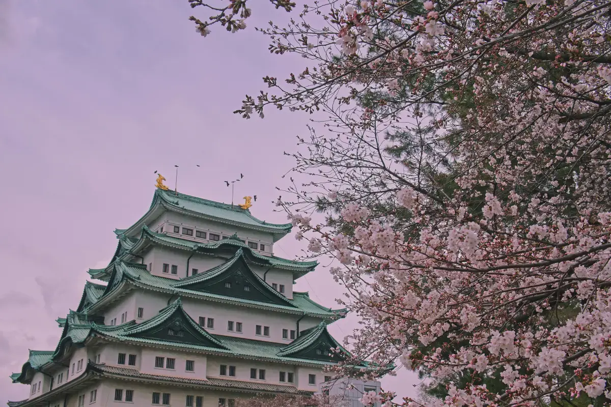 Japan 2025 Job Market Report Image7