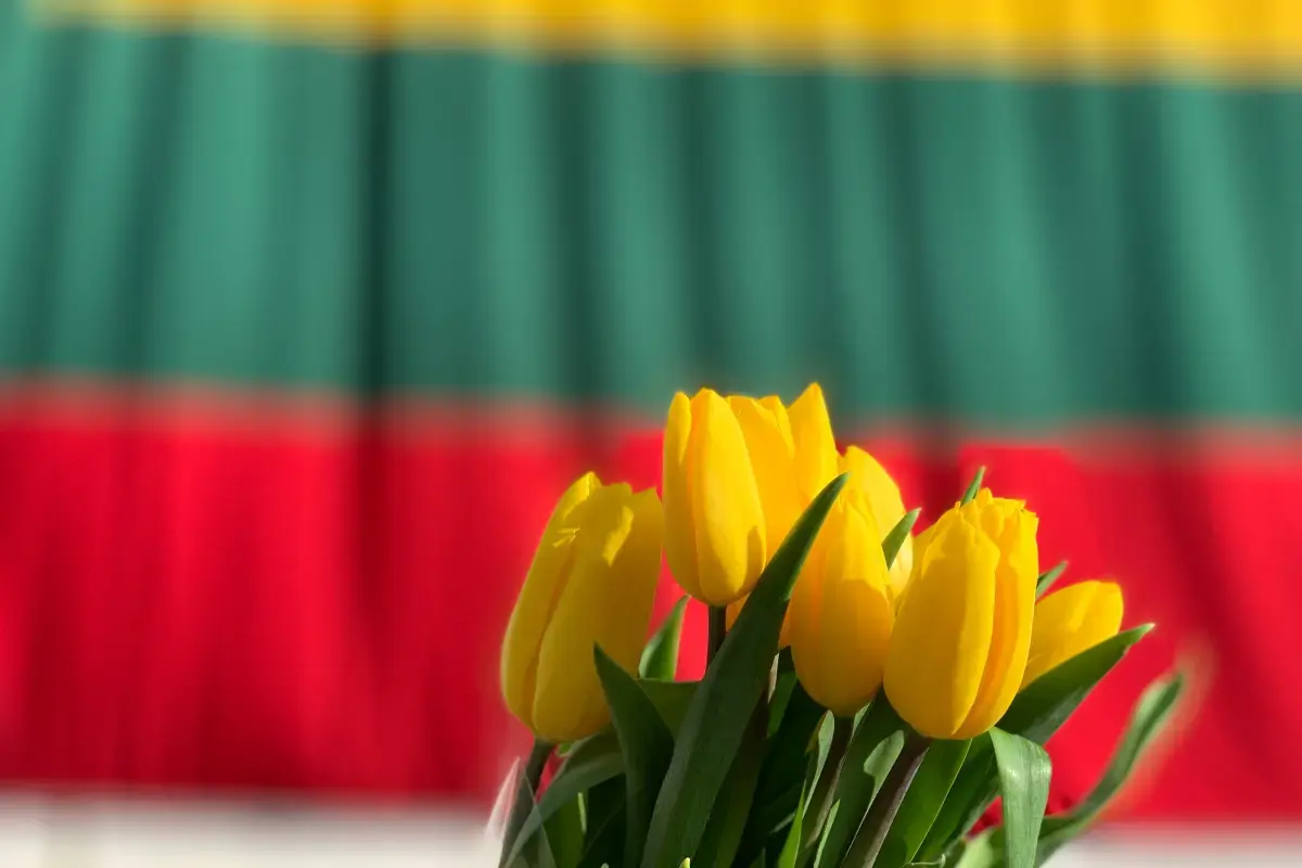 Lithuania 2026 Job Market Report Image1