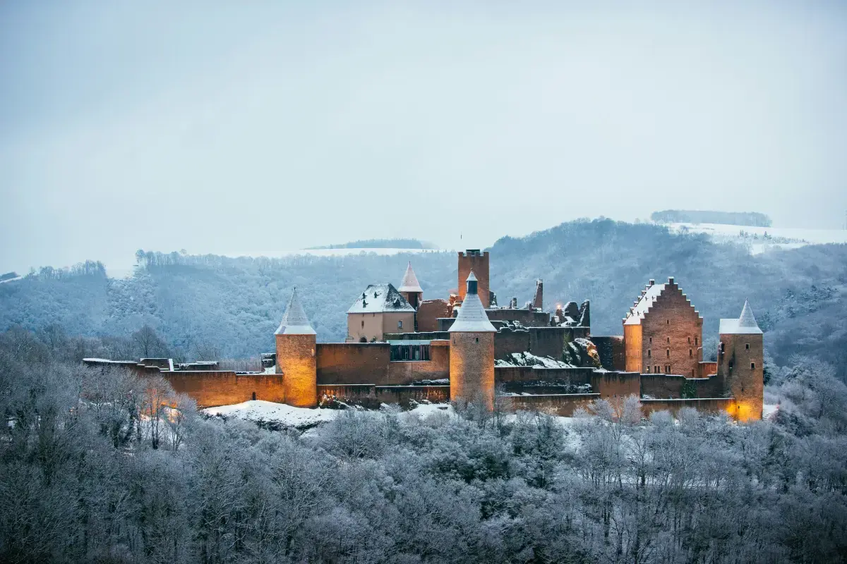 Luxembourg 2024 Job Report Image7