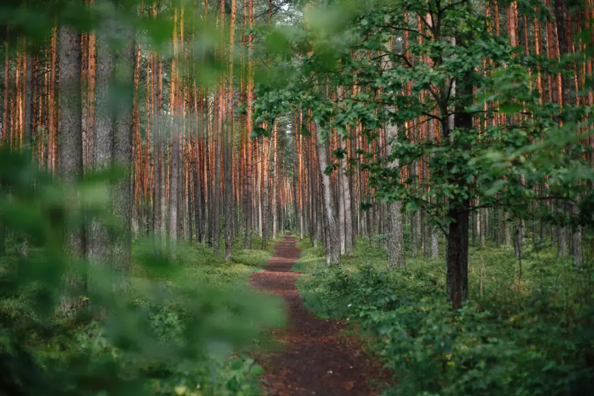 Marijampole Lithuania