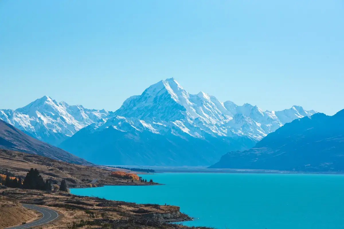 Freelancing in New Zealand in 2025