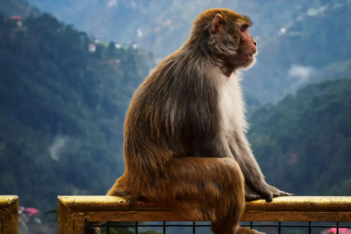 Finding a Job in Gibraltar in 2025