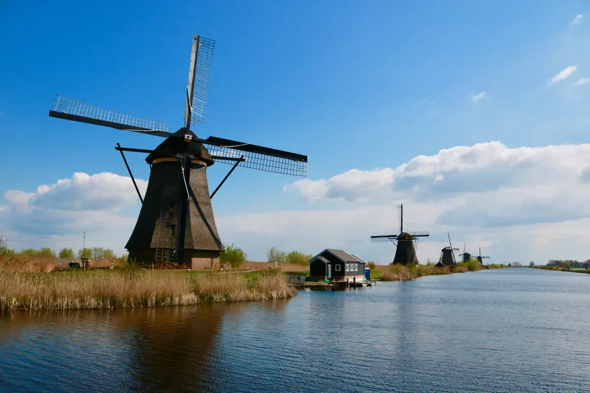 Netherlands 2024 Job Market Report Image1