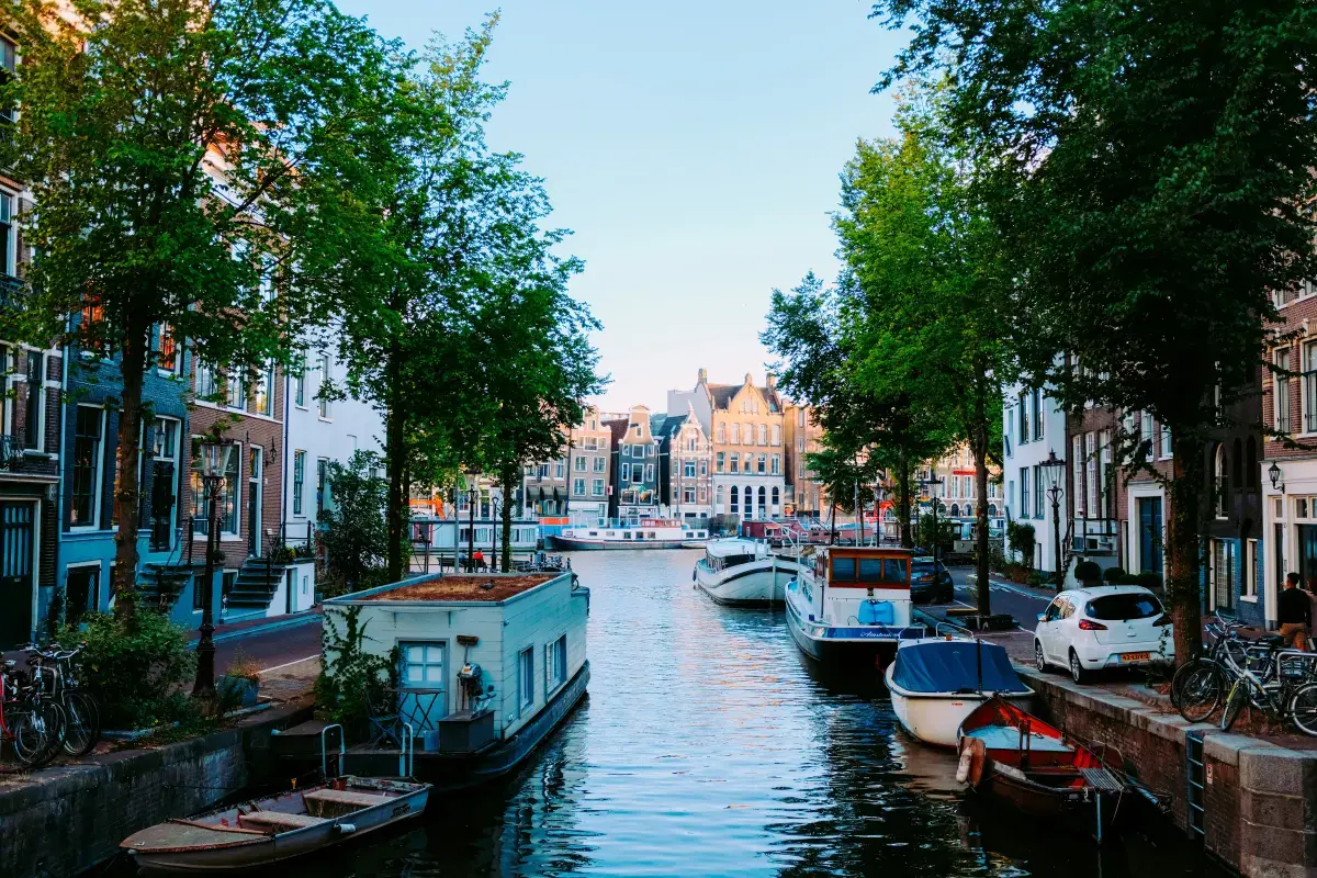 Netherlands 2024 Job Market Report Image11