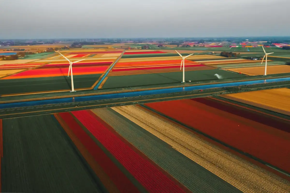 Netherlands 2024 Job Market Report Image2