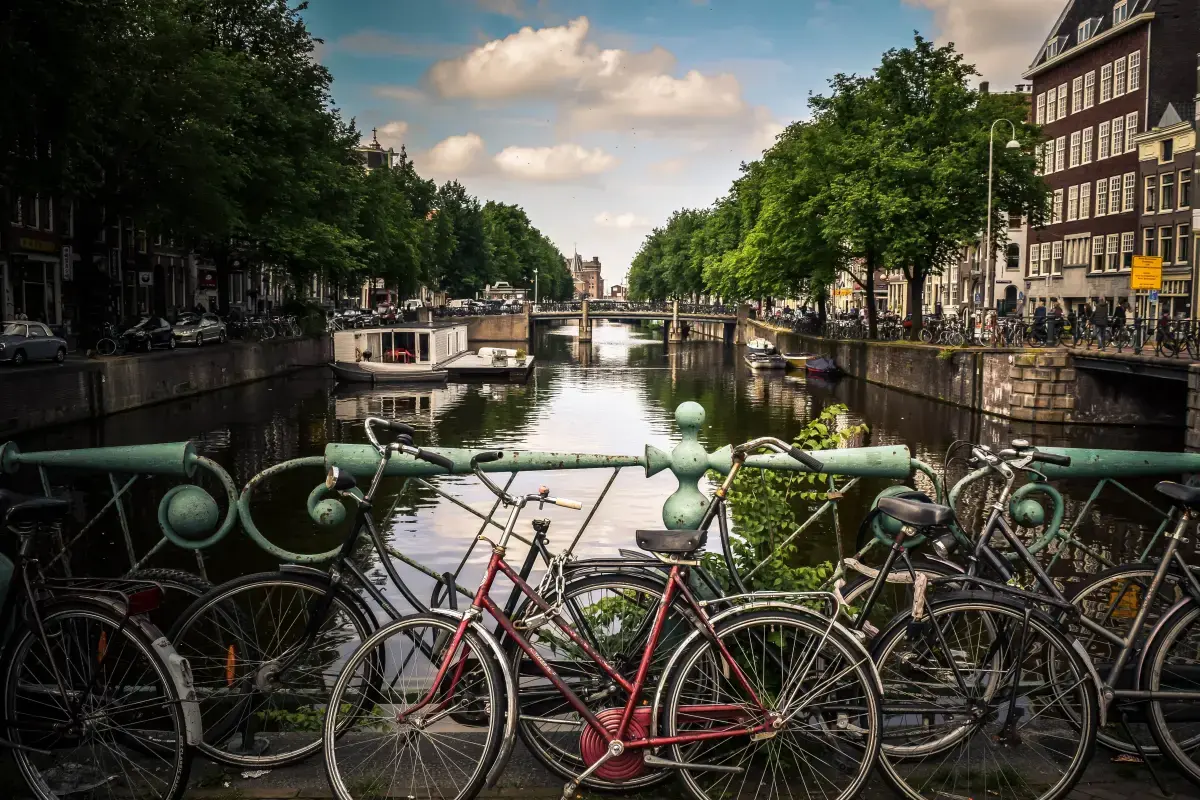 Netherlands 2024 Job Market Report Image8
