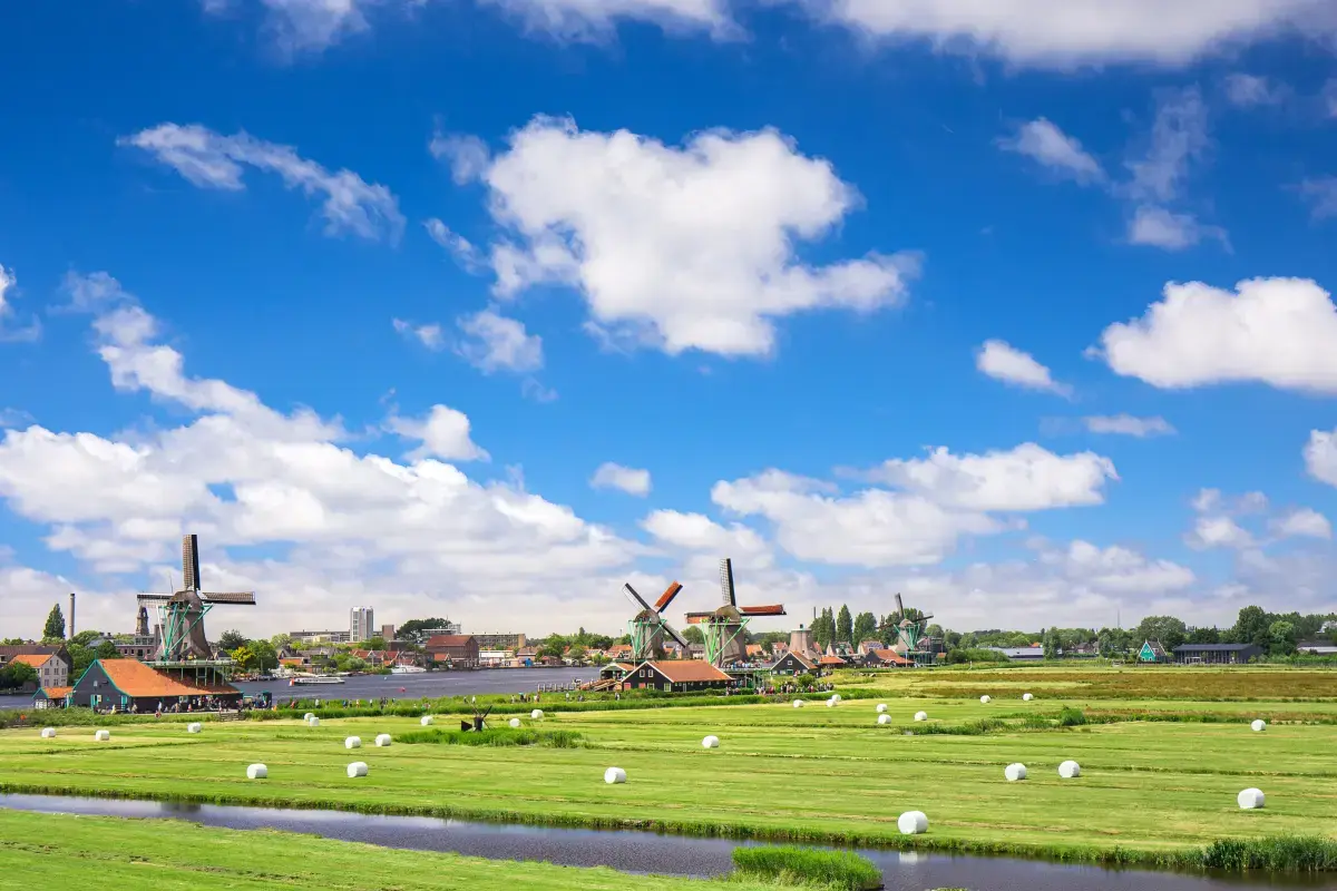 Netherlands 2024 Job Market Report Image9