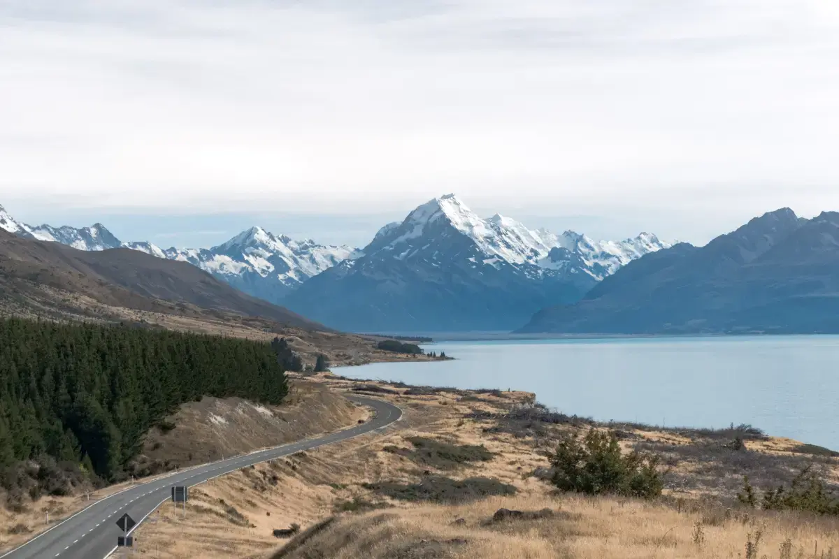 New Zealand 2026 Job Market Report Image3