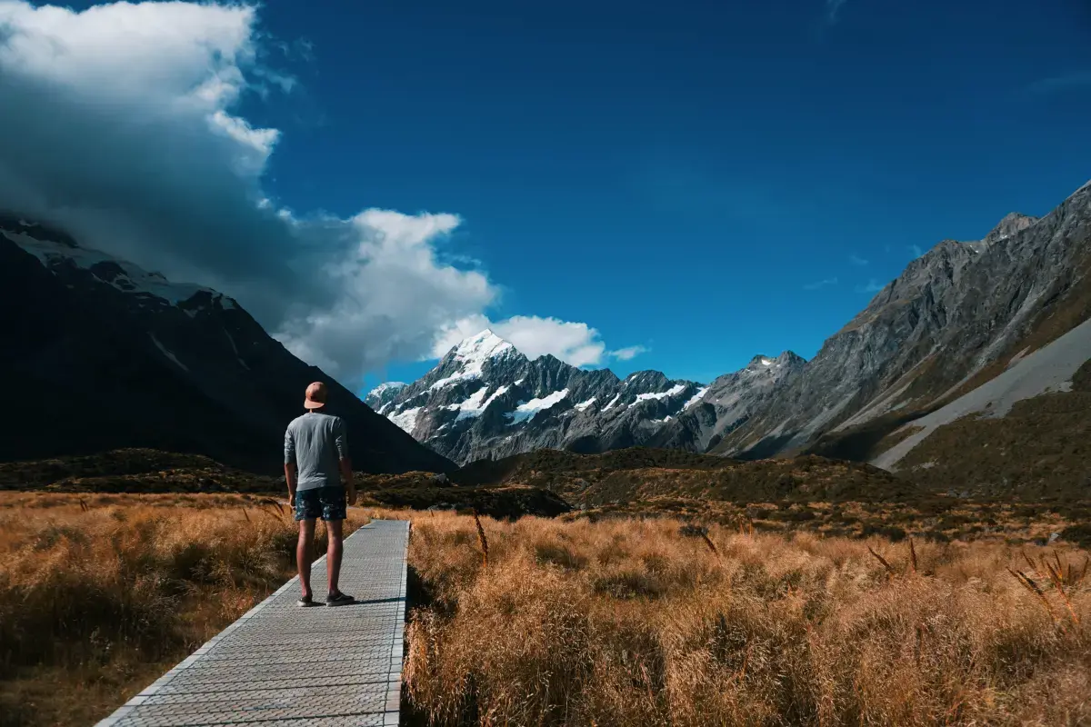 New Zealand 2026 Job Market Report Image5
