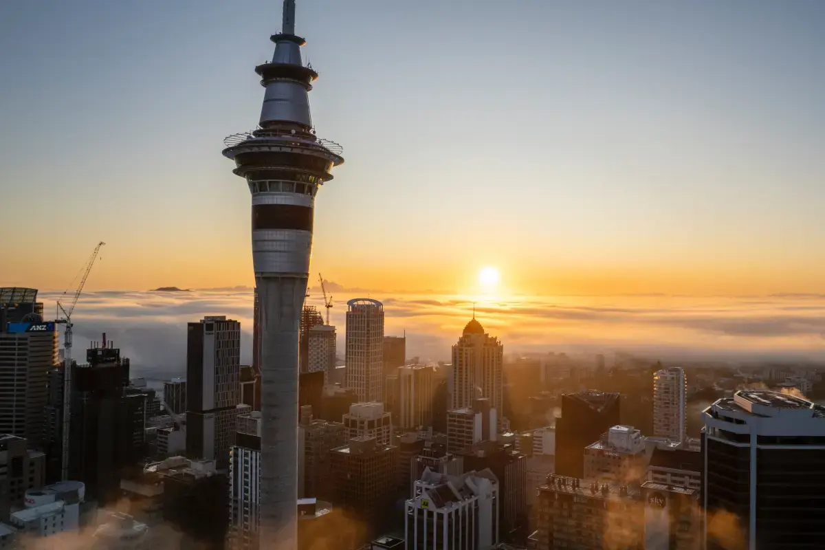 New Zealand 2026 Job Market Report Image7
