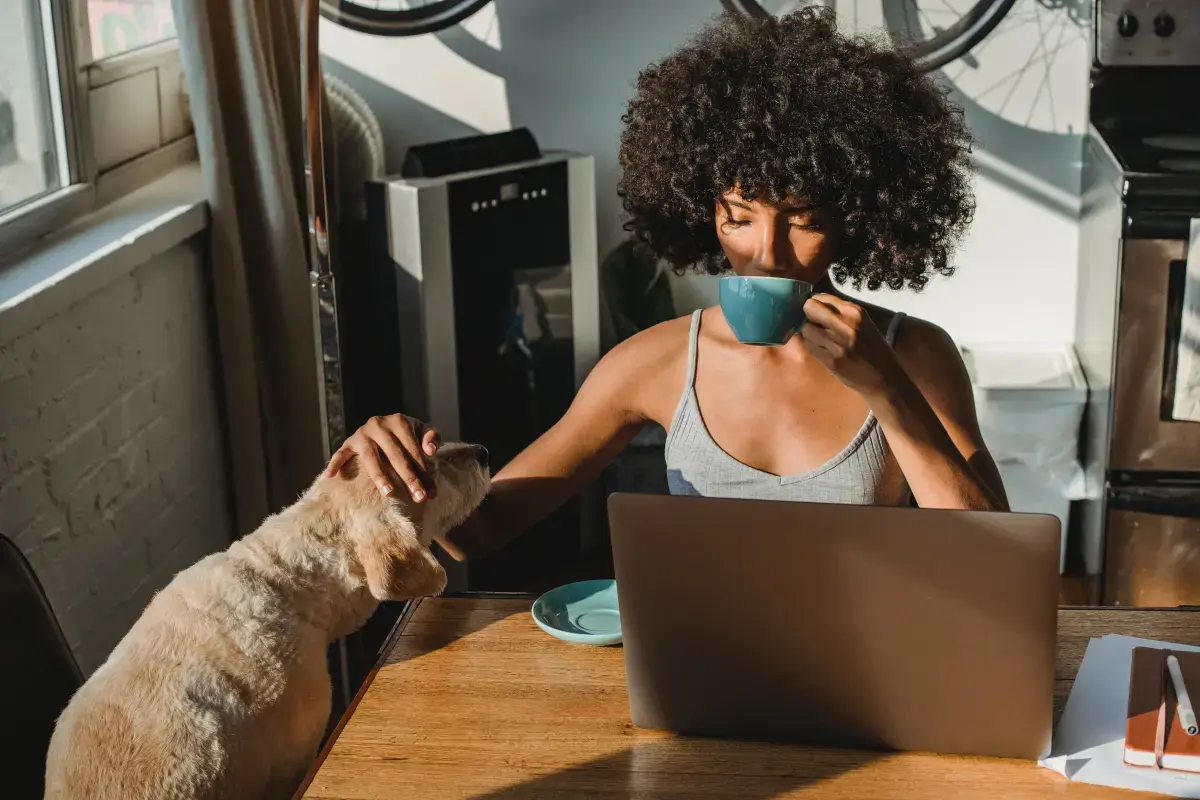 Embracing Freedom: The Transition from Permanent Jobs to Self-Employment Image2