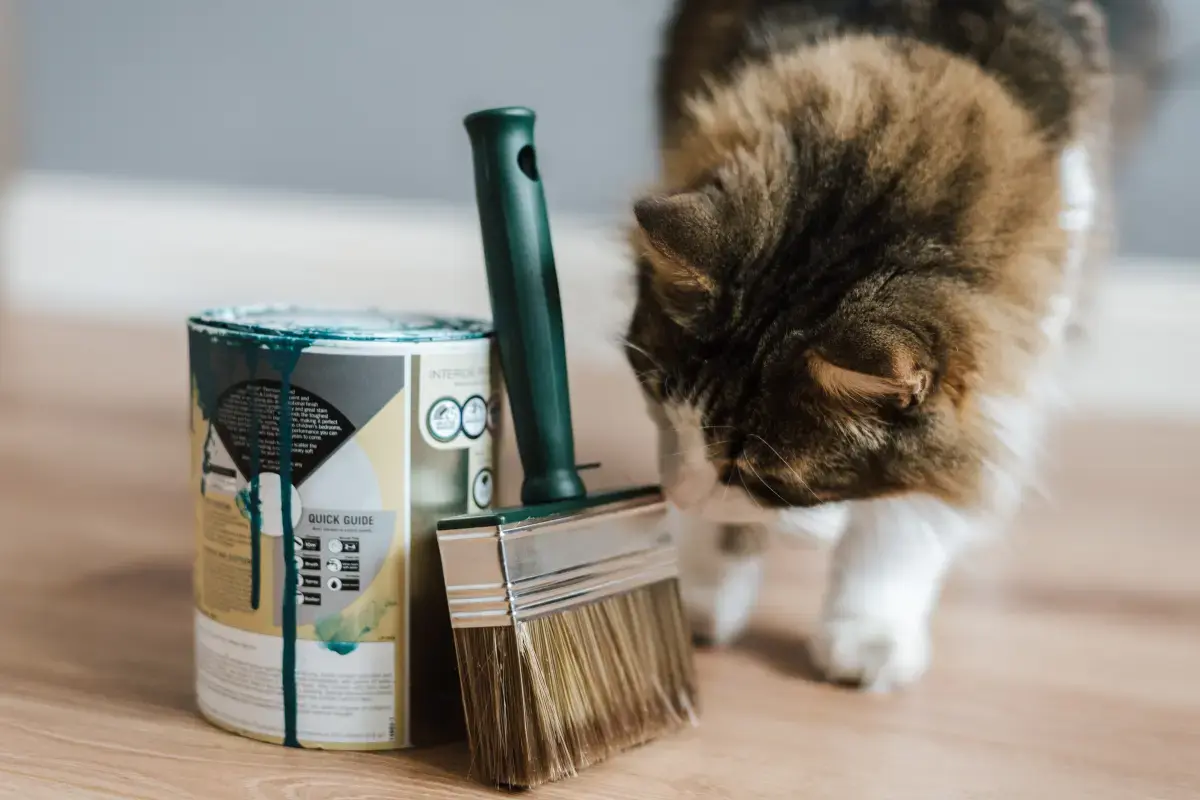 Working Conditions of a Pet Groomer?