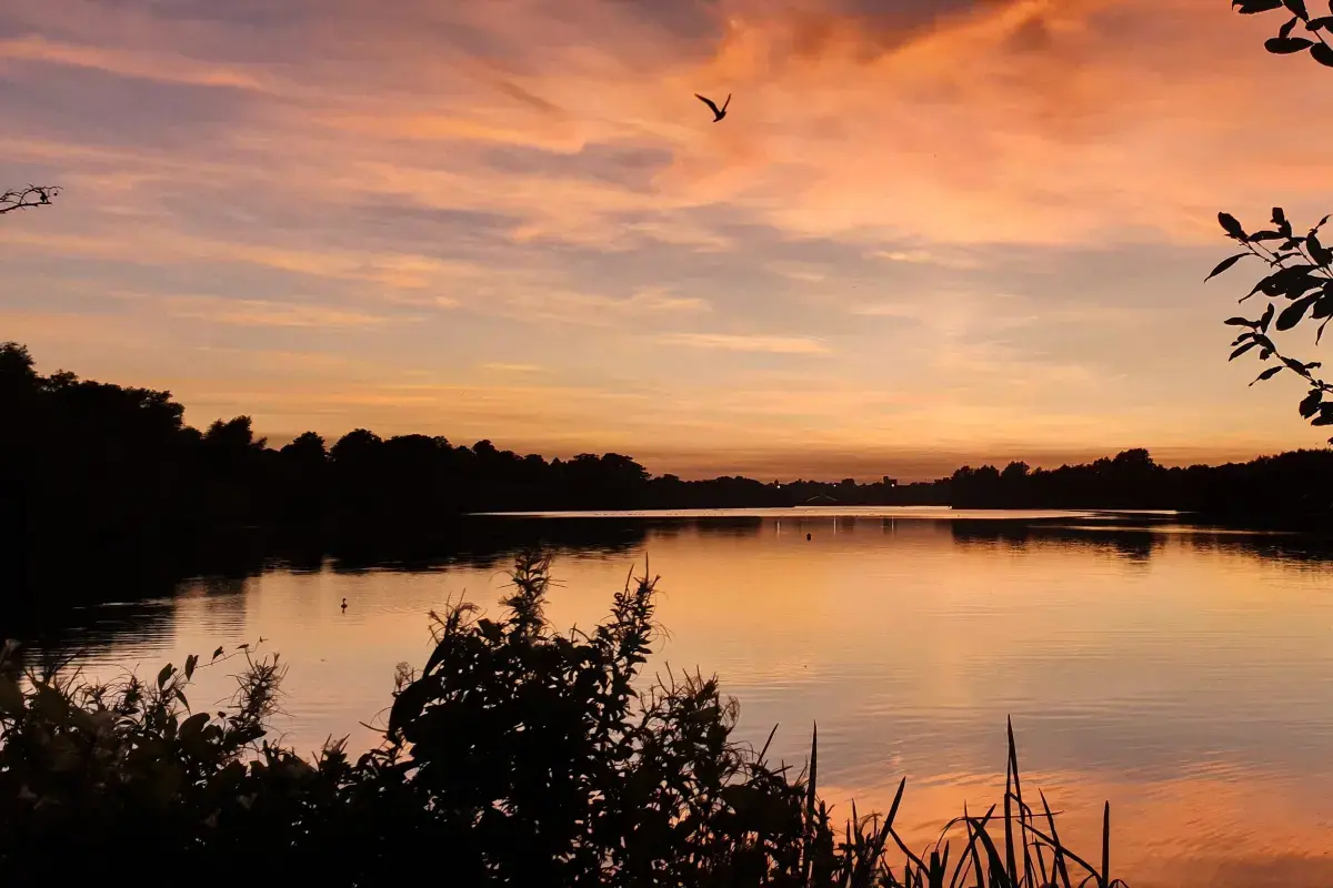 Peterborough Services