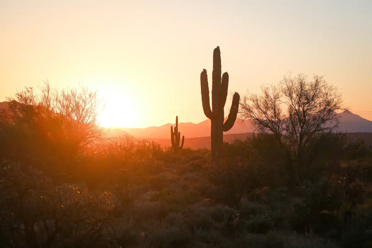 Phoenix United States of America