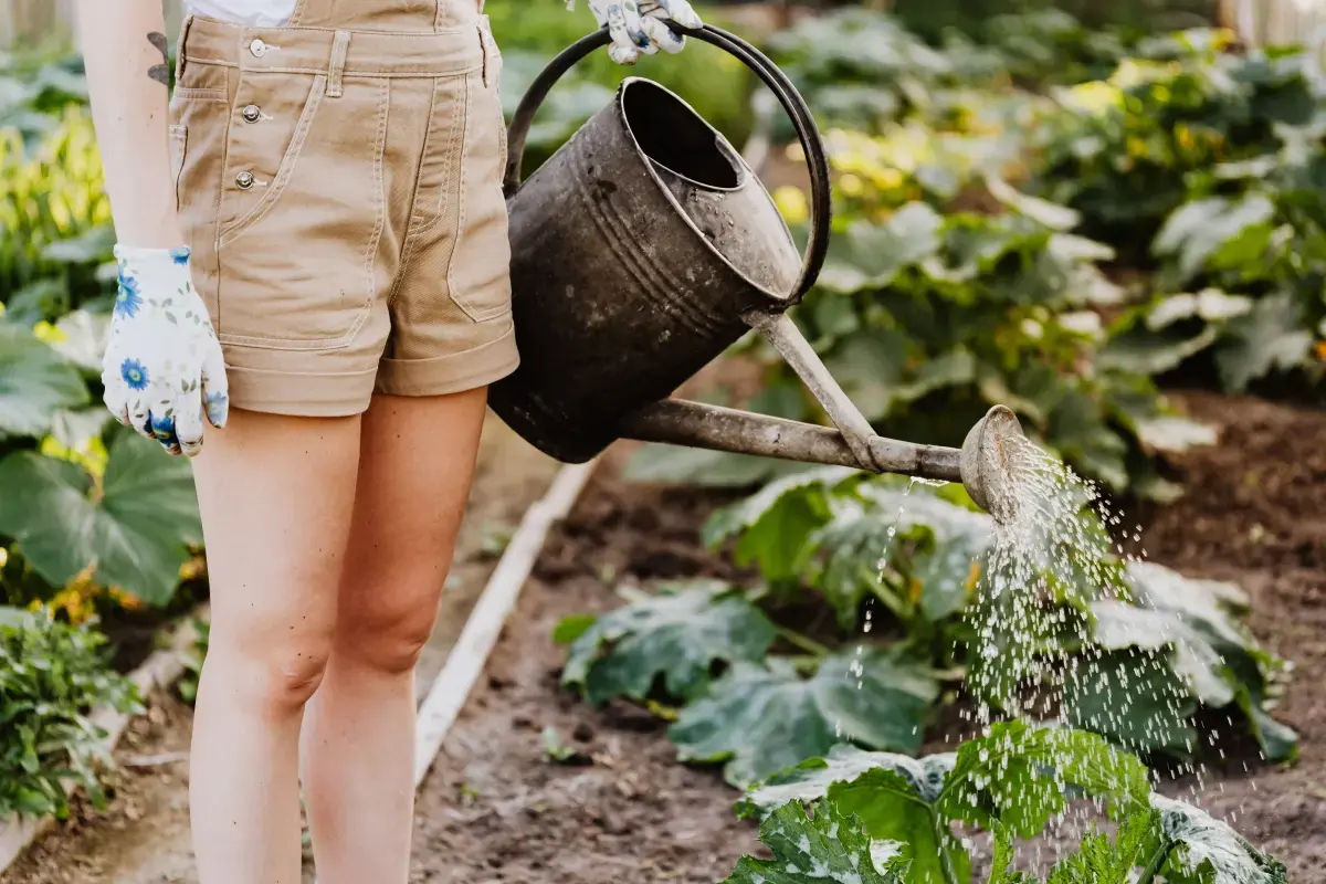 Working Conditions of a Plant Care?