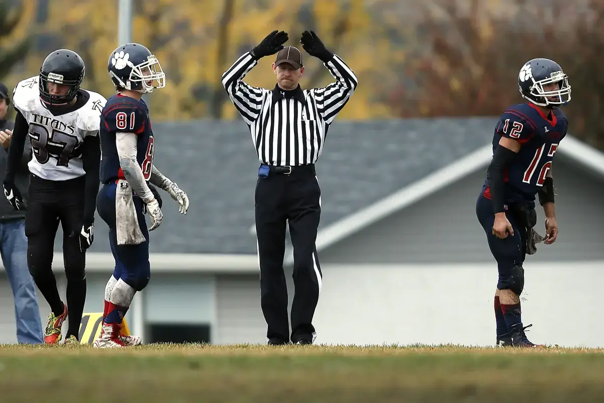 What is a Referee?