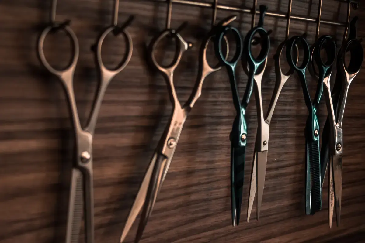 Essential Resources, Equipment, and Toolbox for Self-Employed Professionals Image9