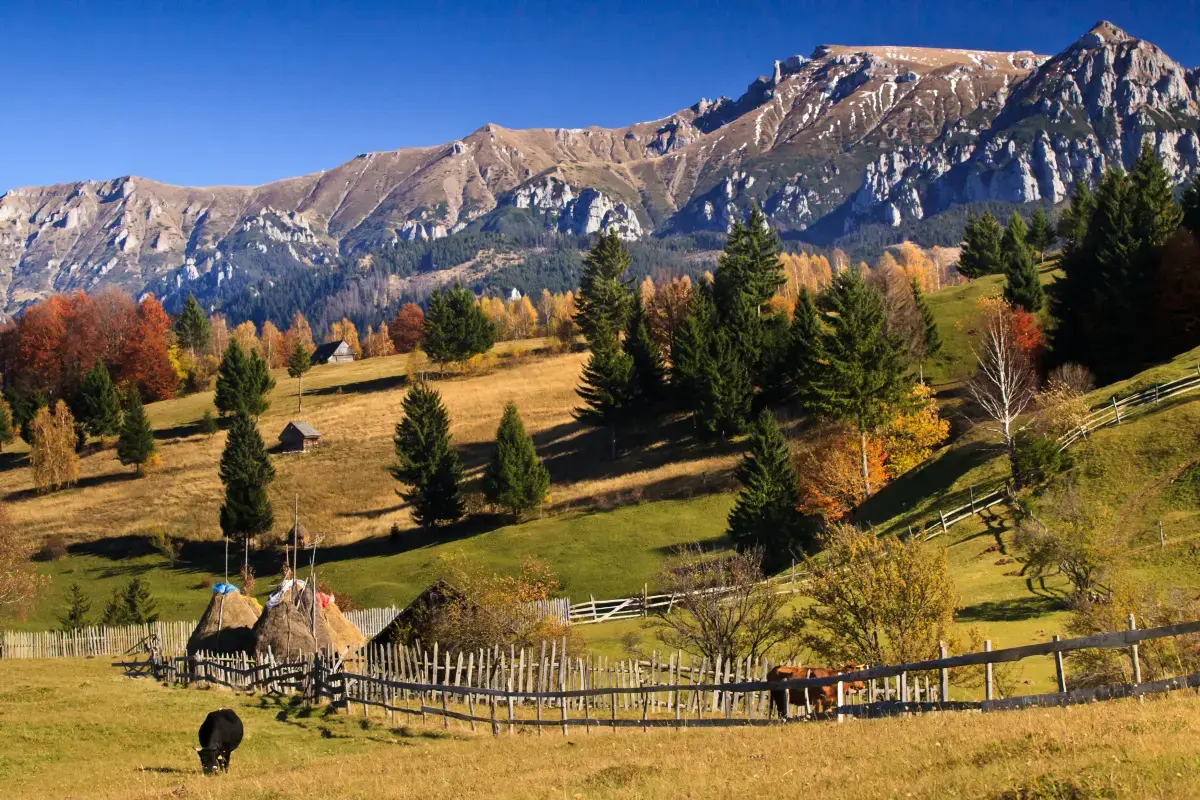 Raportul Pieței Muncii din România 2024 Image3