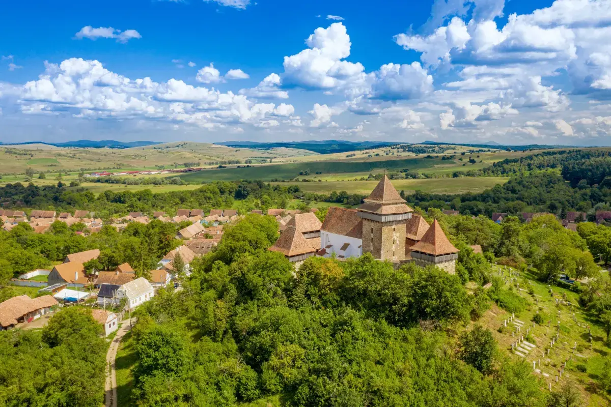 Raportul Pieței Muncii din România 2024 Image6