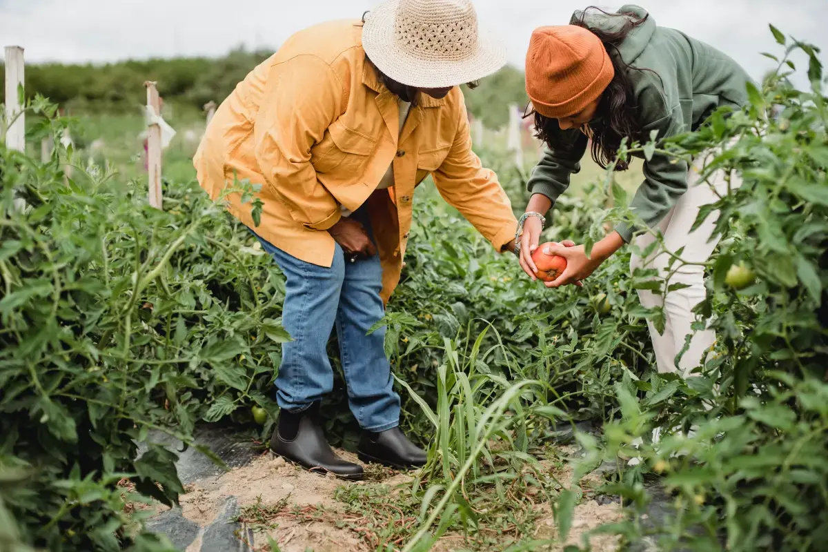 Seasonal Workers