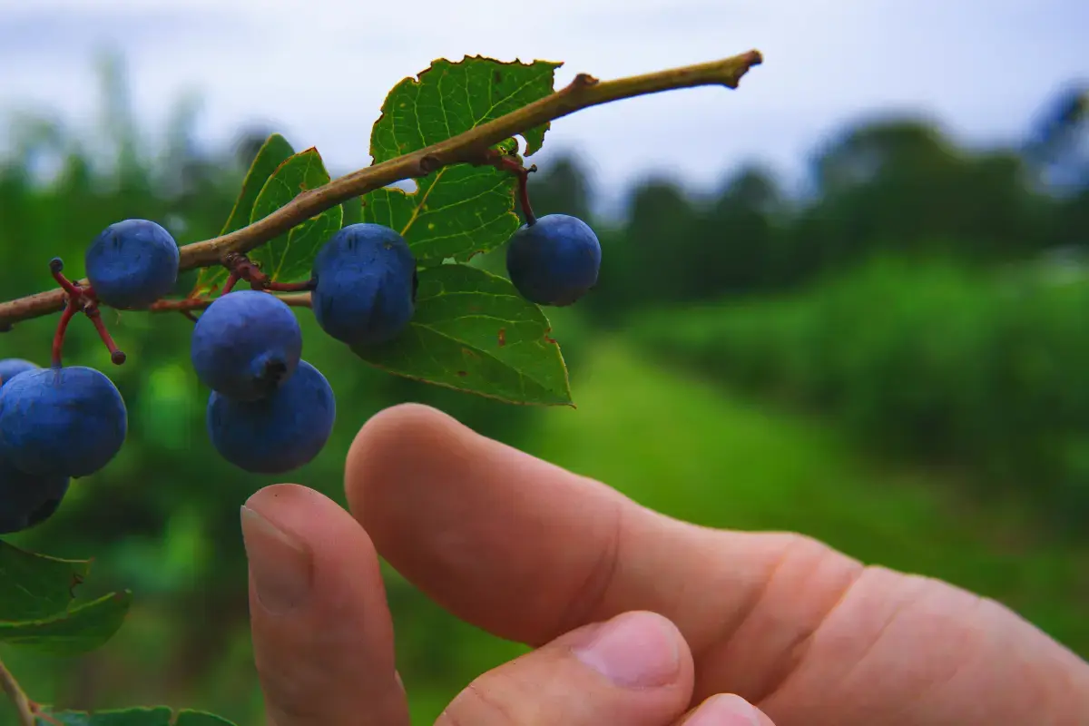 The Rhythm of Seasonal Work: Importance, Workers, and Impact Image7