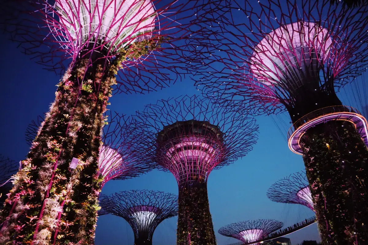Singapore 2024 Job Market Report Image5