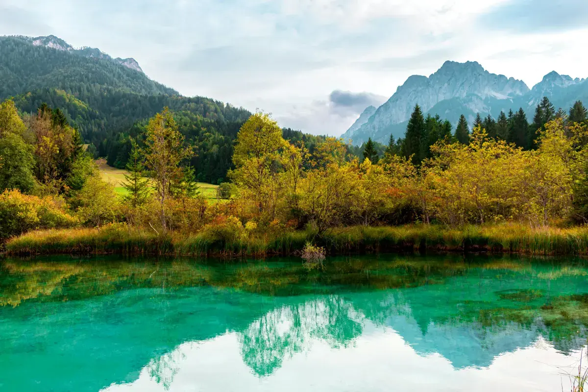 Slovenia 2026 Job Market Report Image14