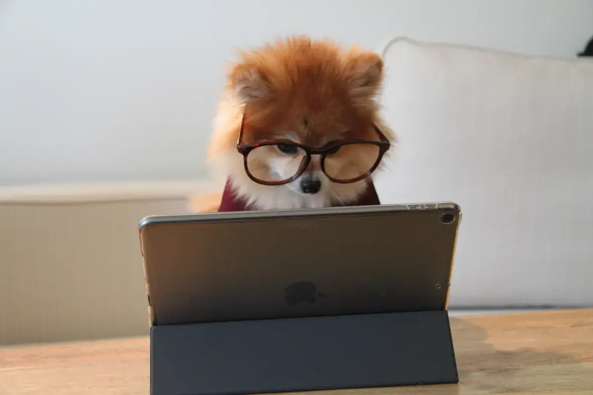 The Essential Guide to Continuous Reskilling & Upskilling: Future-Proofing Your Career Image1
