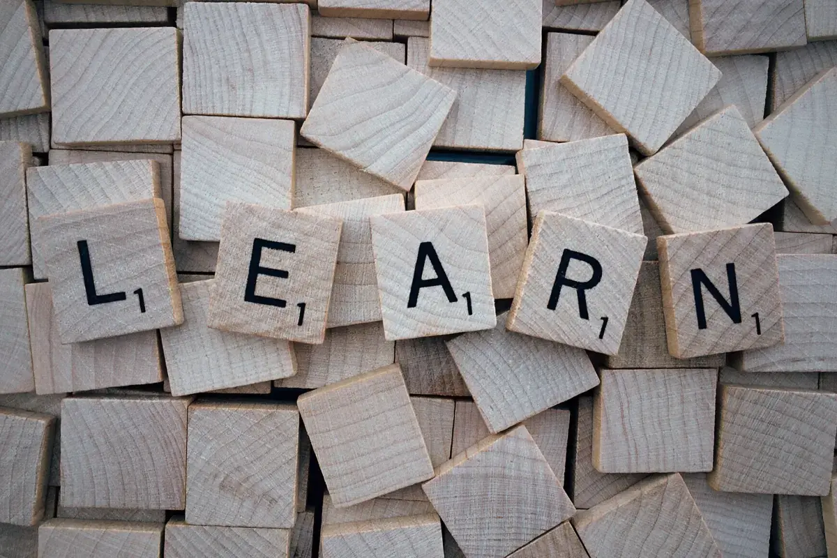 The Essential Guide to Continuous Reskilling & Upskilling: Future-Proofing Your Career Image3