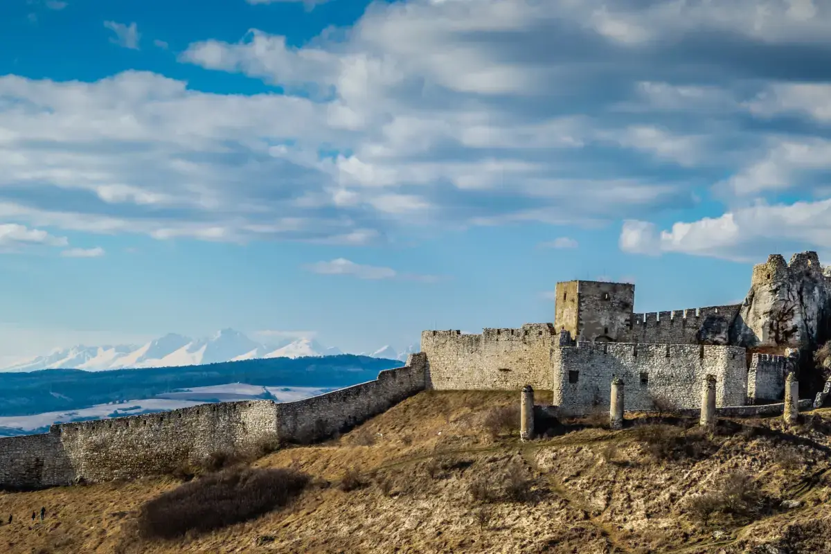 Slovakia 2026 Job Market Report Image10