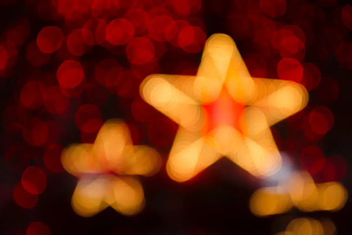 A Comprehensive Review of Star of Service Image1