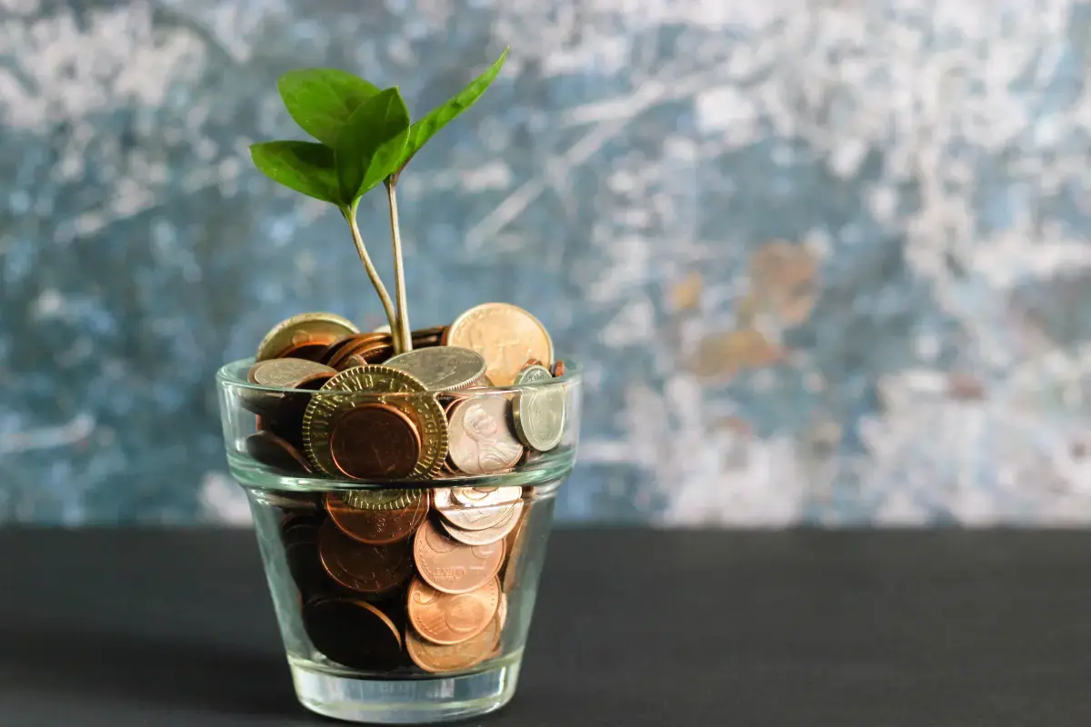 Startup Financing: Navigating the Funding Landscape Image4