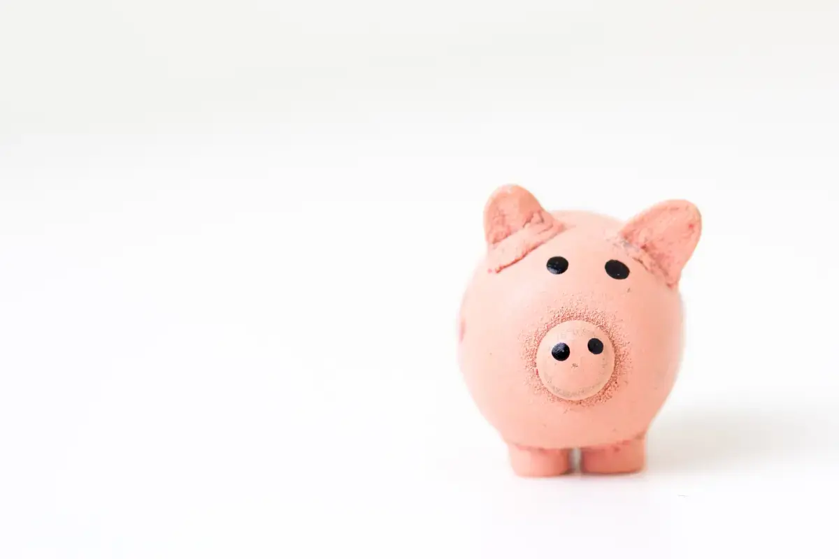 Startup Financing: Navigating the Funding Landscape Image9