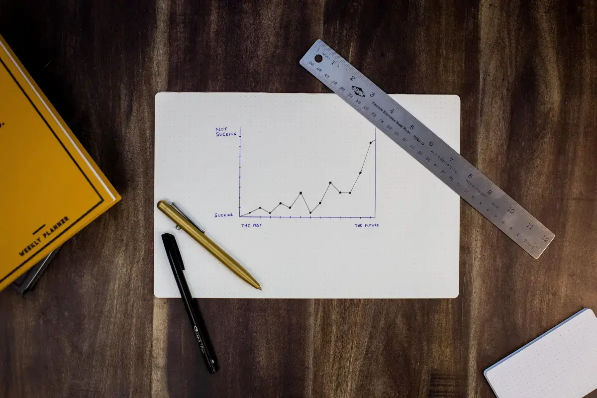 The Evolutionary Journey: From Startup to Scaleup Image1