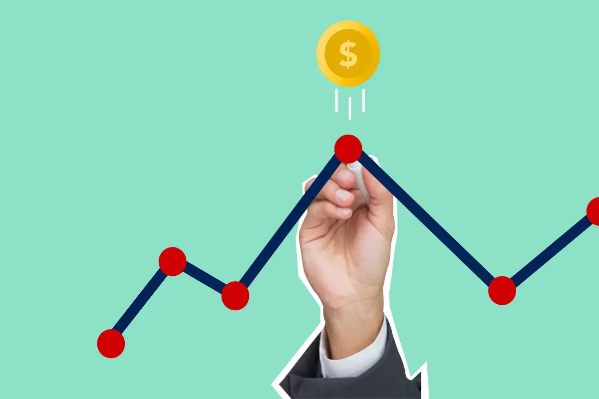 The Evolutionary Journey: From Startup to Scaleup Image4