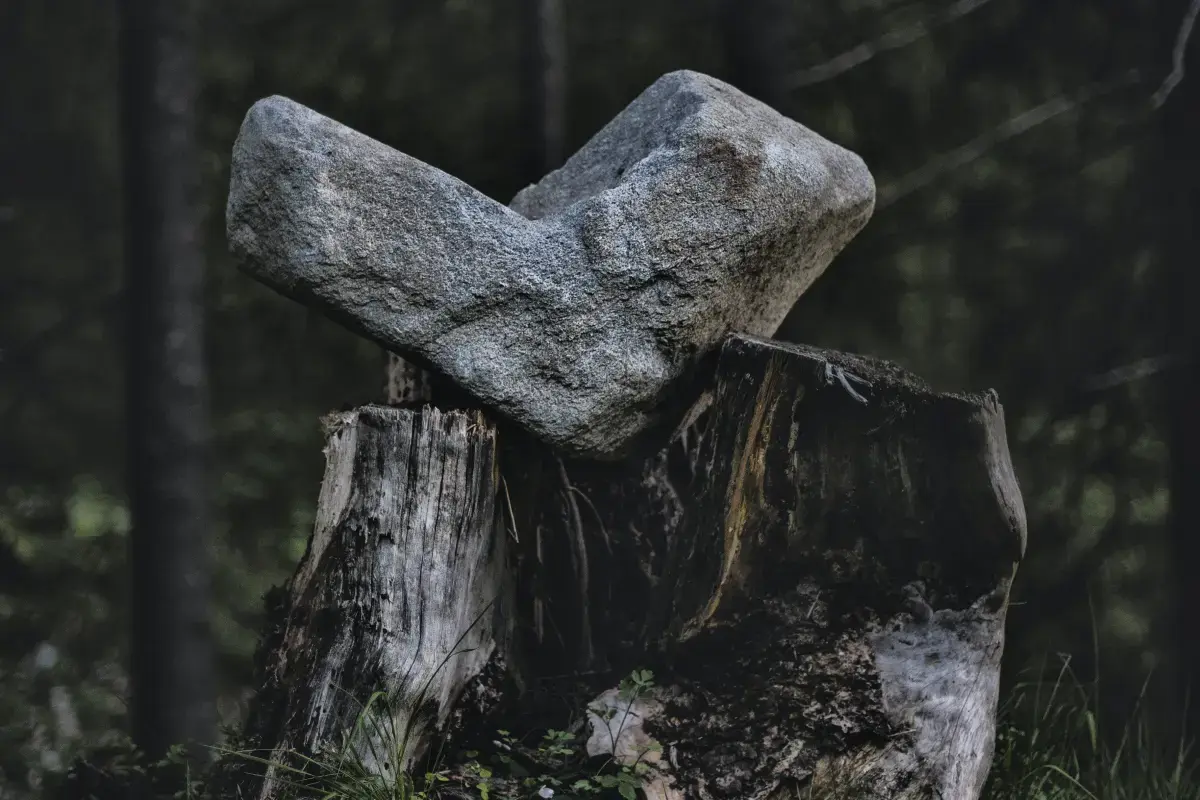 Working Conditions of a Stump Removal?