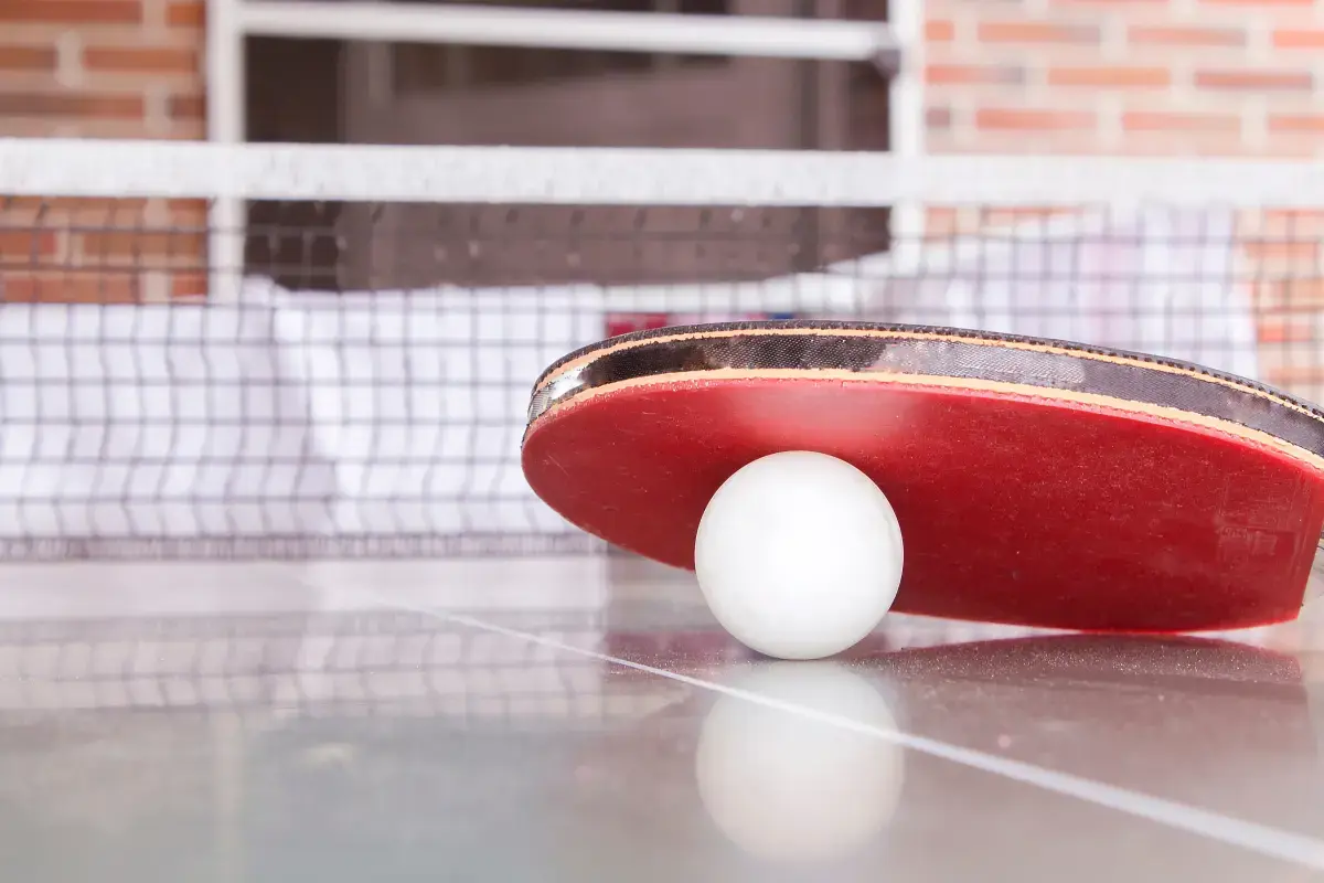 What is a Table Tennis Instructor?