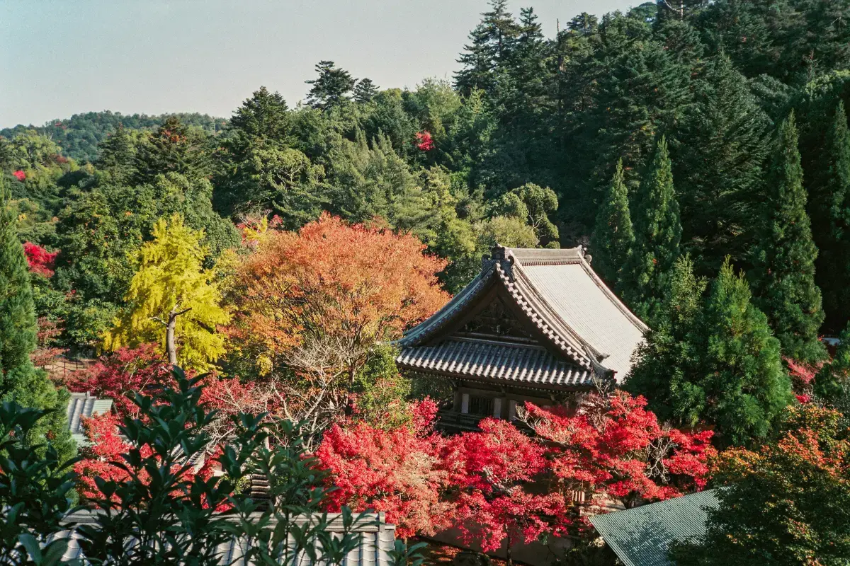 Tohoku Japan